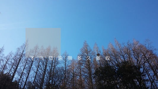 飞鸟贷逾期多久催收 飞鸟贷逾期多久催收