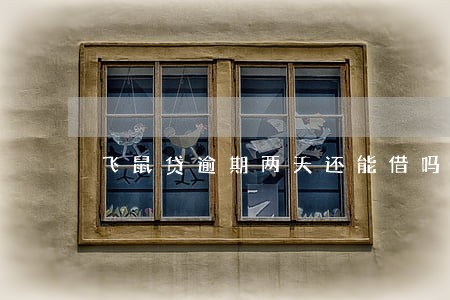 飞鼠贷逾期两天还能借吗 飞鼠贷逾期两天还能借吗