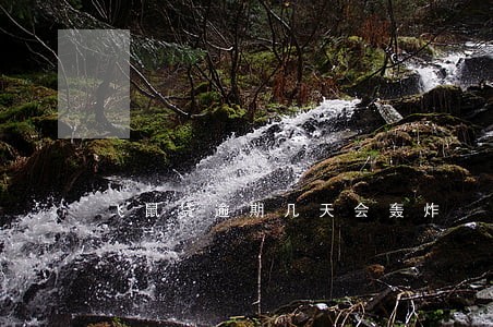飞鼠贷逾期几天会轰炸 飞鼠贷逾期几天会轰炸