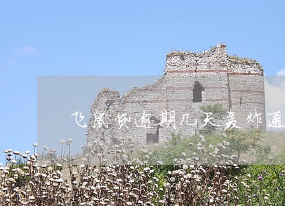 飞鼠贷逾期几天轰炸通讯录