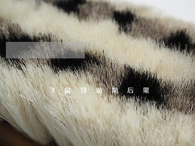 飞鼠贷逾期后果 飞鼠贷逾期后果