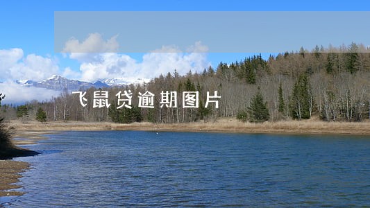 飞鼠贷逾期图片