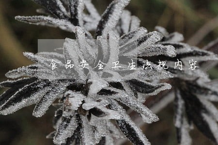 食品安全卫生法规内容 食品安全卫生法规内容