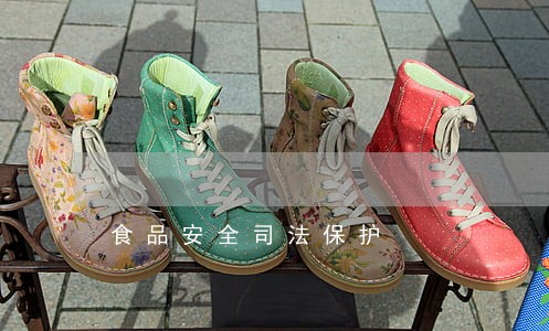 食品安全司法保护 食品安全司法保护