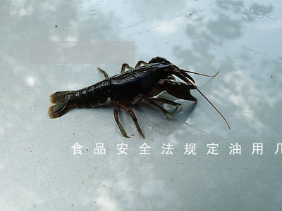 食品安全法规定油用几次