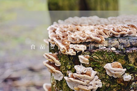 食品安全问题律师咨询 食品安全问题律师咨询