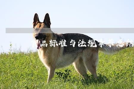 食品标准与法规章节总结 食品标准与法规章节总结