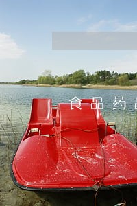 食品药品安全刑法 食品药品安全刑法