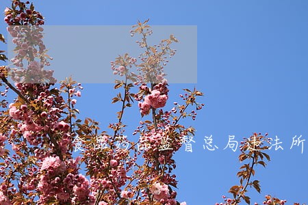 食品药品监督总局违法所得 食品药品监督总局违法所得