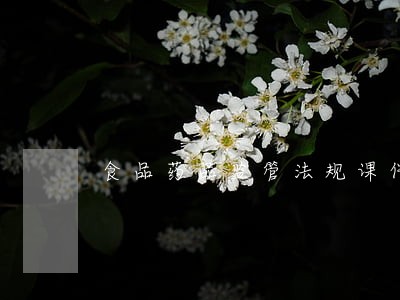 食品药品监管法规课件