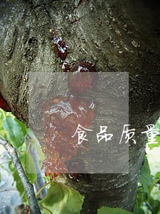 食品质量问题诉讼时效