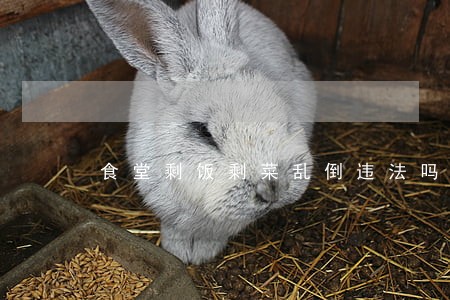 食堂剩饭剩菜乱倒违法吗 食堂剩饭剩菜乱倒违法吗