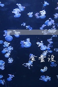 食堂设置最低消费违法吗 食堂设置最低消费违法吗