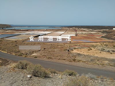 食用油违法