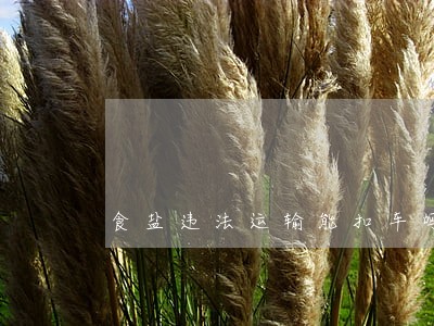 食盐违法运输能扣车吗 食盐违法运输能扣车吗