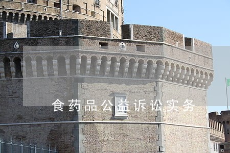 食药品公益诉讼实务 食药品公益诉讼实务