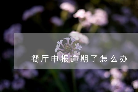 餐厅申报逾期了怎么办 餐厅申报逾期了怎么办