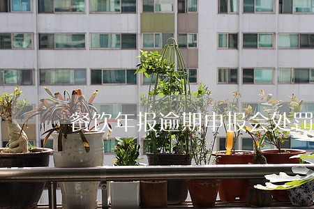 餐饮年报逾期申报会处罚吗 餐饮年报逾期申报会处罚吗