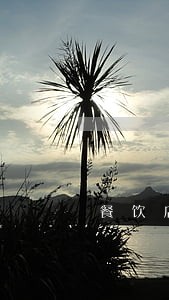餐饮店发票逾期未申报 餐饮店发票逾期未申报