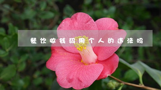 餐饮收钱码用个人的违法吗 餐饮收钱码用个人的违法吗