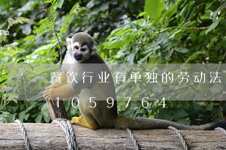 餐饮行业有单独的劳动法吗/2023021059764 餐饮行业有单独的劳动法吗/2023021059764