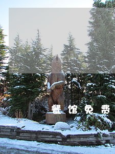 餐馆免费麻将桌违法吗 餐馆免费麻将桌违法吗