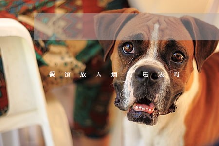 餐馆放大烟壳违法吗