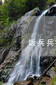 饭兵兵钱包逾期 饭兵兵钱包逾期