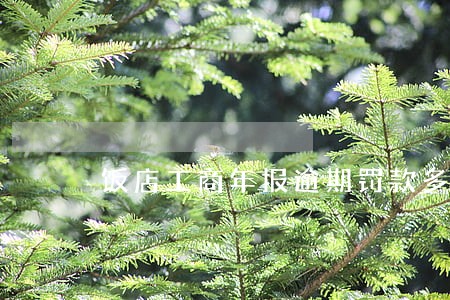 饭店工商年报逾期罚款多少 饭店工商年报逾期罚款多少
