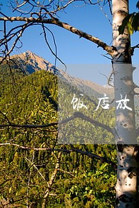 饭店放大烟算违法么 饭店放大烟算违法么