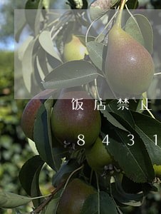 饭店禁止饮酒违法么/2023020118431 饭店禁止饮酒违法么/2023020118431