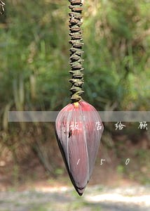 饭店给顾客吃剩饭违法吗/2023020150237 饭店给顾客吃剩饭违法吗/2023020150237