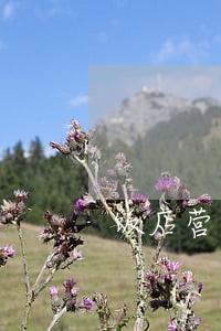 饭店营业执照逾期罚款 饭店营业执照逾期罚款