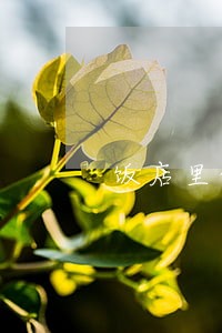 饭店里的员工不签合违法吗 饭店里的员工不签合违法吗