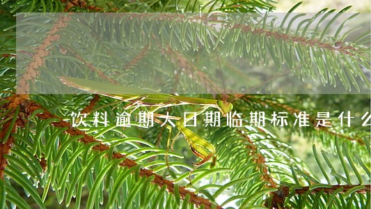饮料逾期大日期临期标准是什么