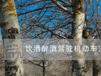 饮酒醉酒驾驶机动车法律条文