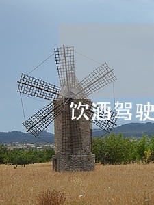 饮酒驾驶罚款逾期可以缴纳吗