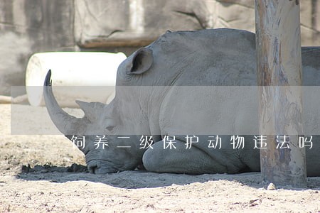 饲养二级保护动物违法吗