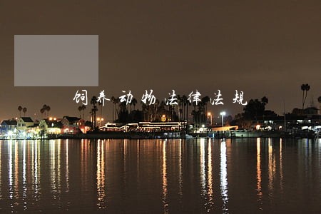 饲养动物法律法规 饲养动物法律法规