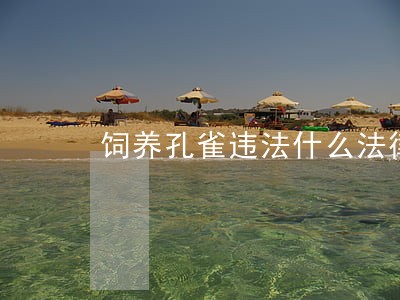 饲养孔雀违法什么法律 饲养孔雀违法什么法律
