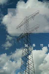 饲养竹鼠违法吗 饲养竹鼠违法吗