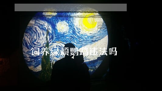 饲养绿颊鹦鹉违法吗 饲养绿颊鹦鹉违法吗
