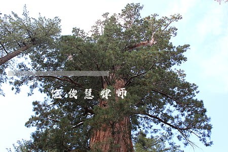 饶俊慧律师 饶俊慧律师