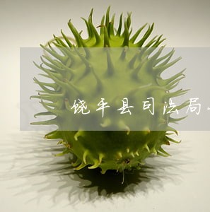 饶平县司法局长现在是谁 饶平县司法局长现在是谁