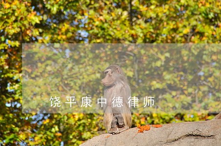 饶平康中德律师 饶平康中德律师