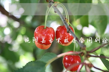 饶阳县专业租房合同纠纷律师 饶阳县专业租房合同纠纷律师