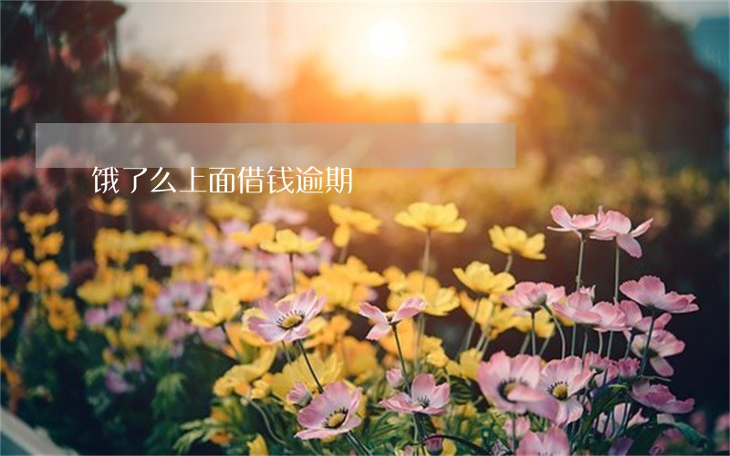 饿了么上面借钱逾期 饿了么上面借钱逾期
