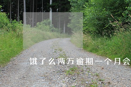 饿了么两万逾期一个月会怎么样 饿了么两万逾期一个月会怎么样