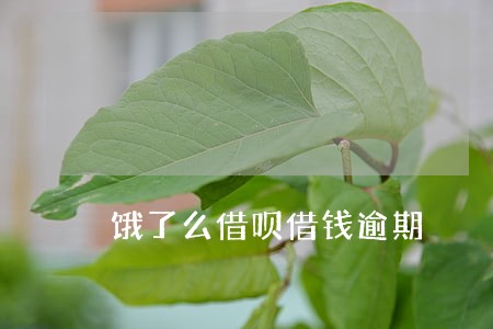 饿了么借呗借钱逾期 饿了么借呗借钱逾期