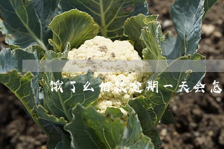 饿了么借款逾期一天会怎么样 饿了么借款逾期一天会怎么样